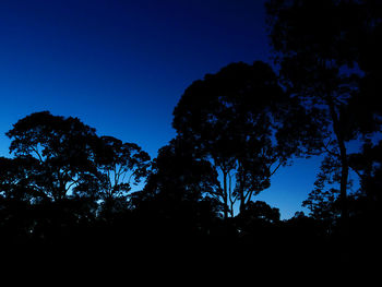 Low angle view of silhouette trees against clear blue sky