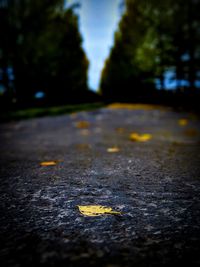 road