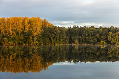 Scenic view of lake by trees against sky