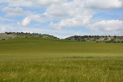 Scenic view of field against cloudy sky