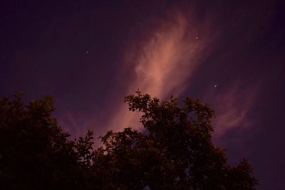 Low angle view of silhouette trees against sky at night