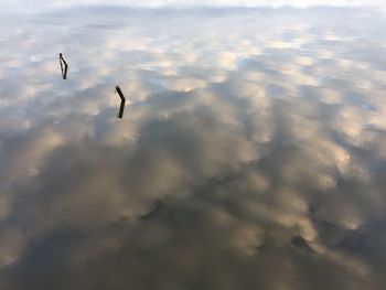 Birds flying over lake against sky