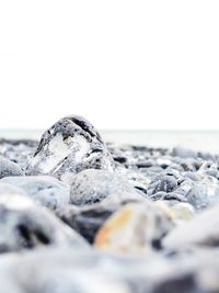 Close-up of ice on beach against sky