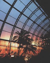 Low angle view of silhouette trees against sky seen through window