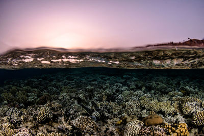 Scenic view of sea shore against sky