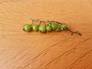 Close-up of fruits on wooden table