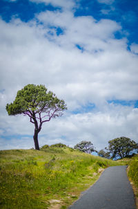 Road amidst trees on field against sky