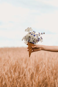 Cropped hand holding flowers in ice cream cone against sky
