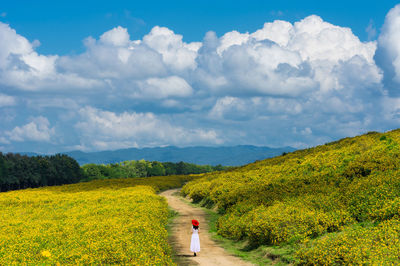 Scenic view of field against sky