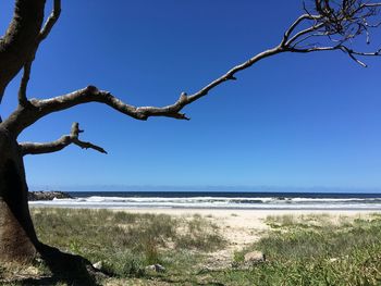 Scenic view of sea against clear blue sky