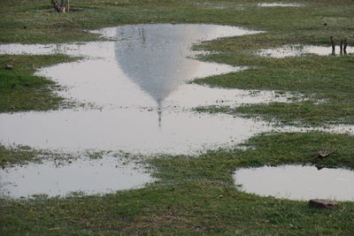 Reflection of grass in water