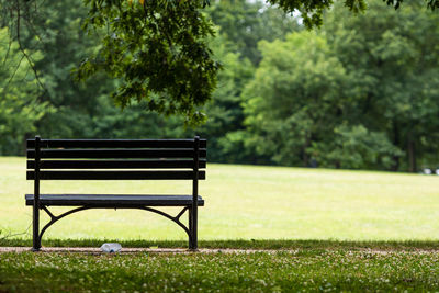 Empty bench in park