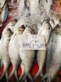 Close-up of fish for sale in market