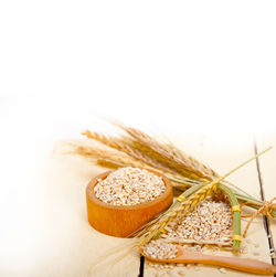 Close-up of food on table