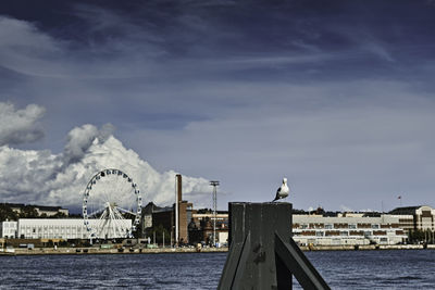 Seagull by sea against sky