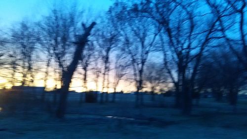 Bare trees against sky during sunset