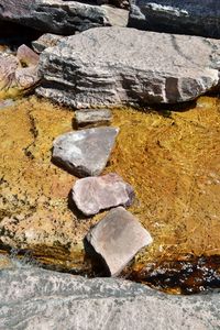 Surface level of sea shore