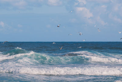 Seagulls flying over sea against sky