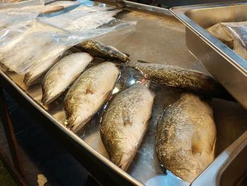 High angle view of fish for sale at market