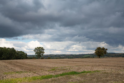 Scenic view of field against sky