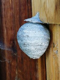 Close-up of old wooden door