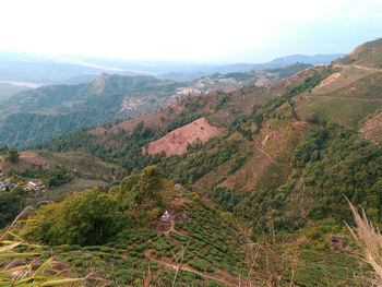 High angle view of trees and mountains against sky