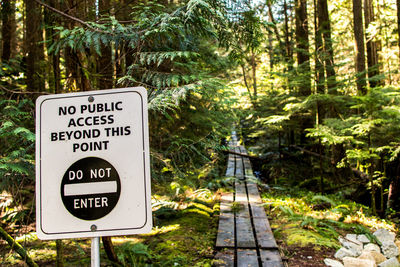 Close-up of information sign in forest