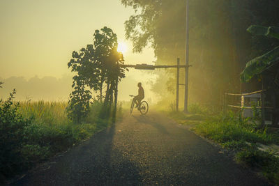 Man riding bicycle on road amidst trees against sky