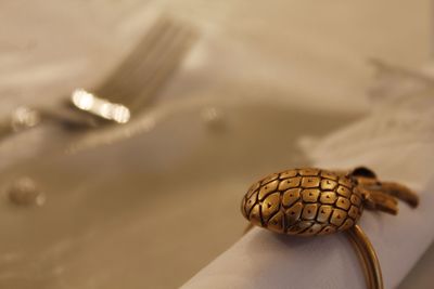 Close-up of napkin ring during thanksgiving