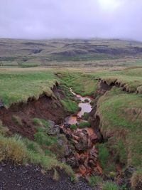 terrain