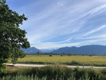 Scenic view of field against sky