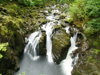 Stream flowing through rocks in forest