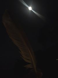 Low angle view of illuminated feather against black background