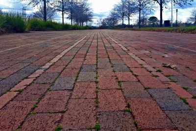 Cobblestone street by trees against sky