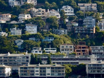 High angle view of trees and buildings in city