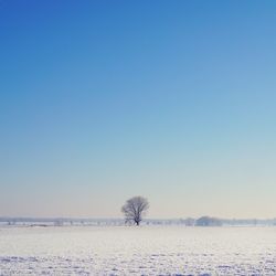 Snow covered field against sky during winter