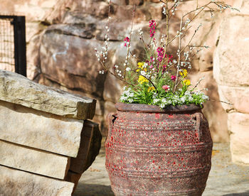 Close-up of potted plant against wall