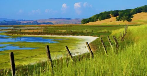 Scenic view of field by lake against sky