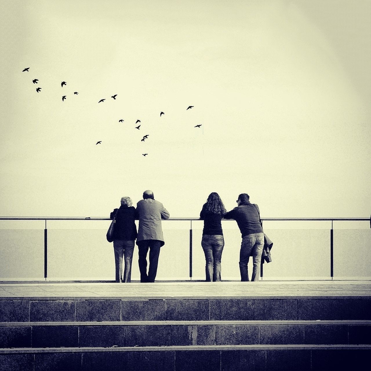 togetherness, bird, men, walking, animal themes, railing, full length, person, lifestyles, silhouette, rear view, animals in the wild, sky, leisure activity, clear sky, standing, wildlife