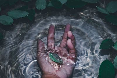 High angle view of person in water