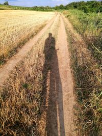 Shadow of people on the road