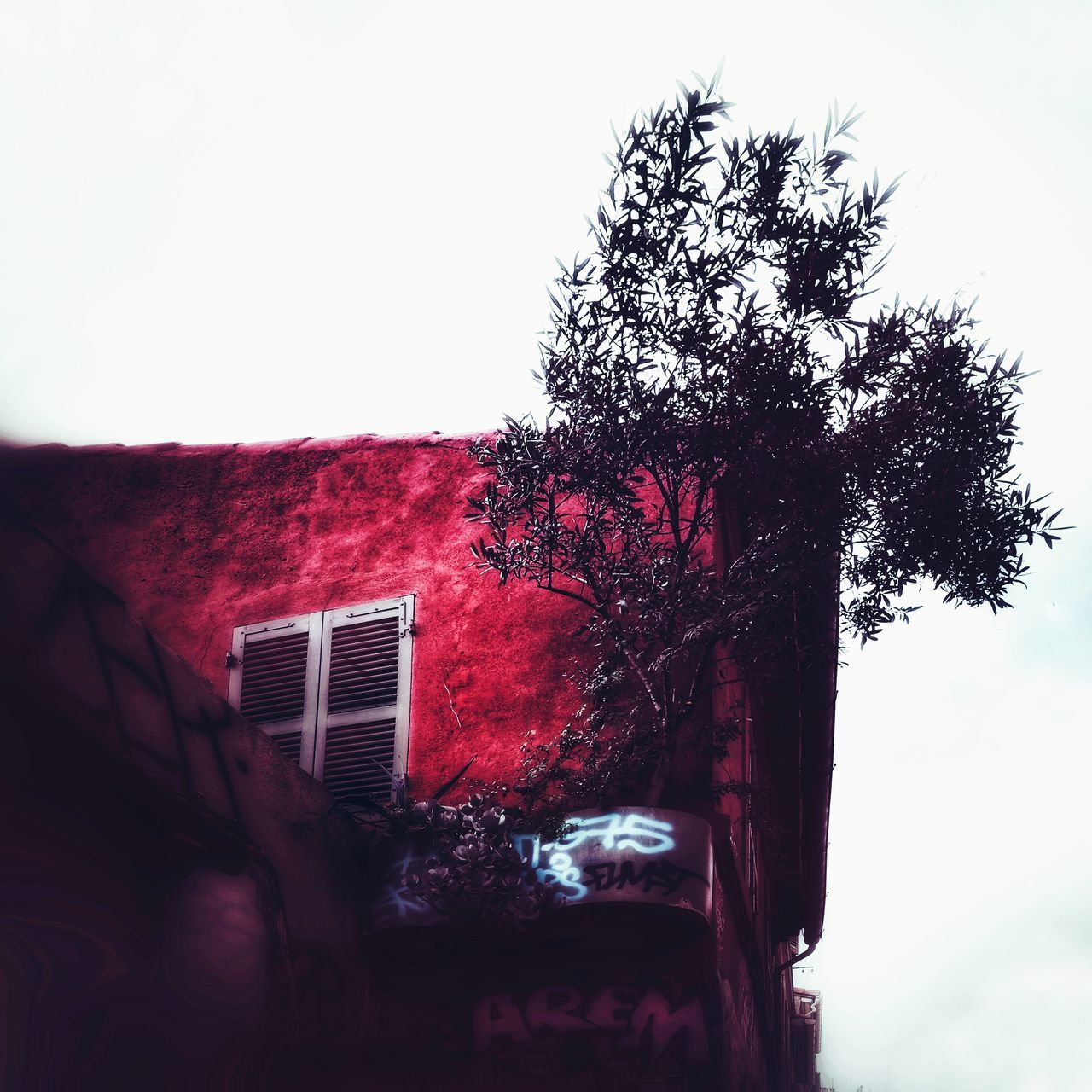tree, sky, plant, building exterior, architecture, built structure, nature, building, clear sky, day, house, no people, low angle view, growth, outdoors, red, residential district, portrait, wall - building feature