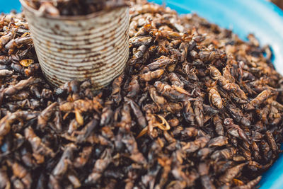 High angle view of roasted coffee beans