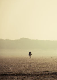 Silhouette man riding horse at shore of beach 