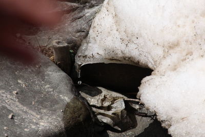 Close-up of water in cave