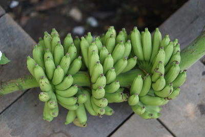 High angle view of fruits growing on wood