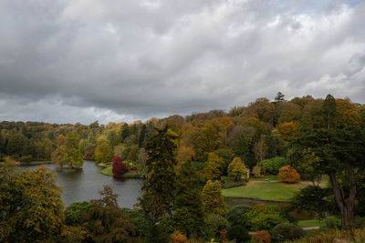 Scenic view of trees and plants against sky