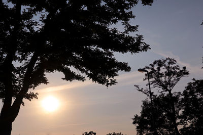 Low angle view of silhouette trees against sky during sunset