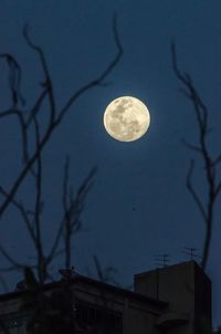 Low angle view of moon in sky at night