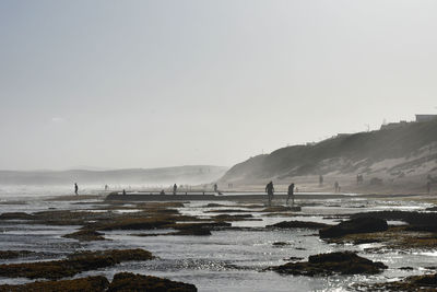 Scenic view of beach against clear sky